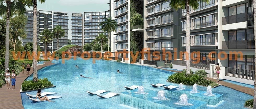 D'Nest Pool 2