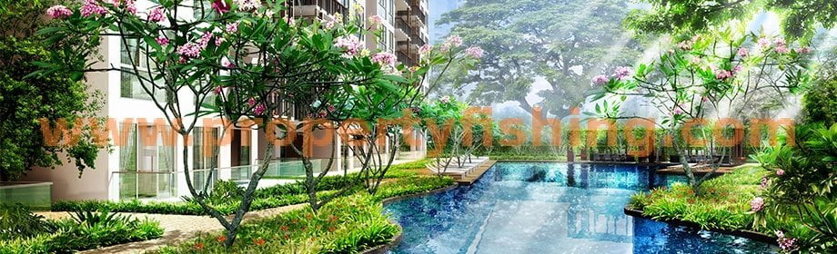 eCO Condo Pool