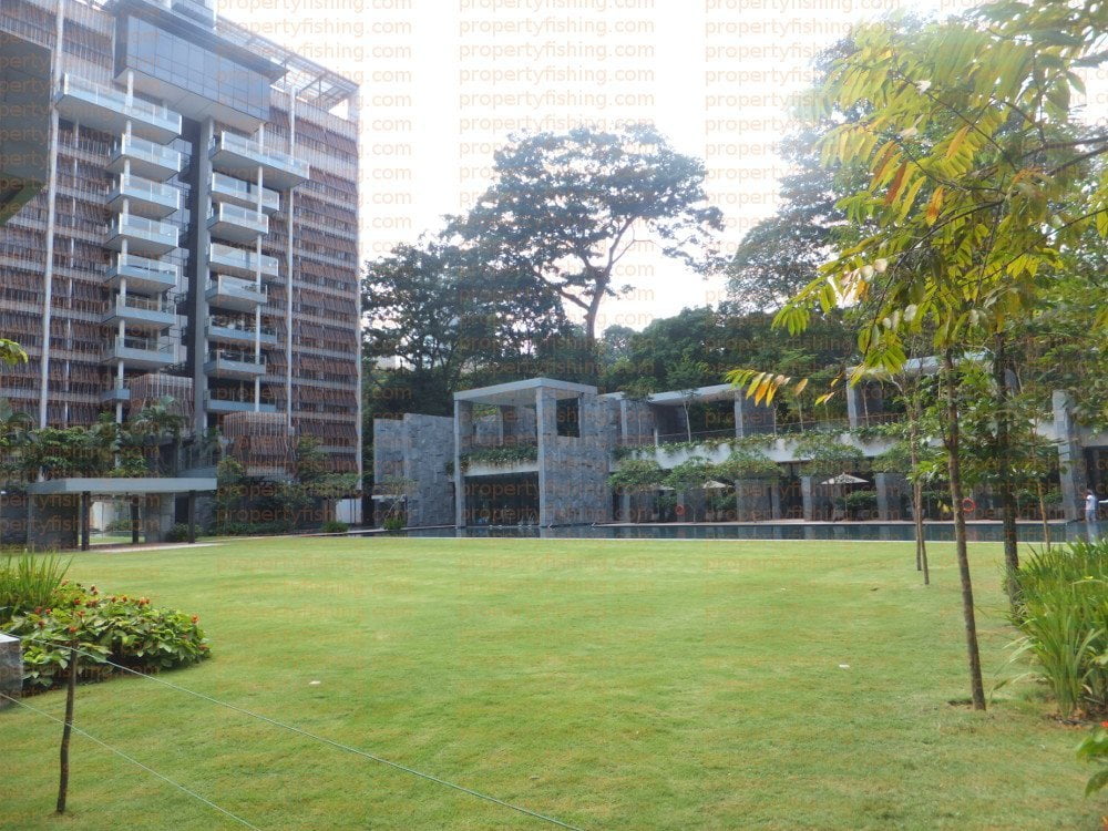 Goodwood Residence Lawn and Pool