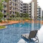 Palm Isles Pool