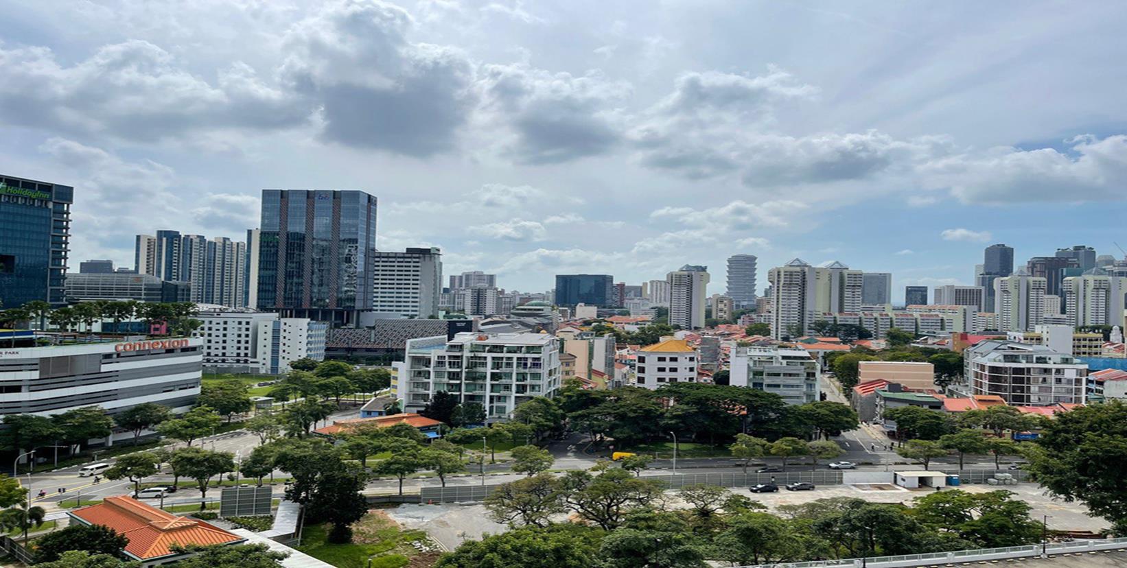 PIccadilly Grand View 15