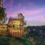 Pinetree Hill Forest Pavilion