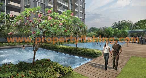 Sims Urban Oasis Landscape