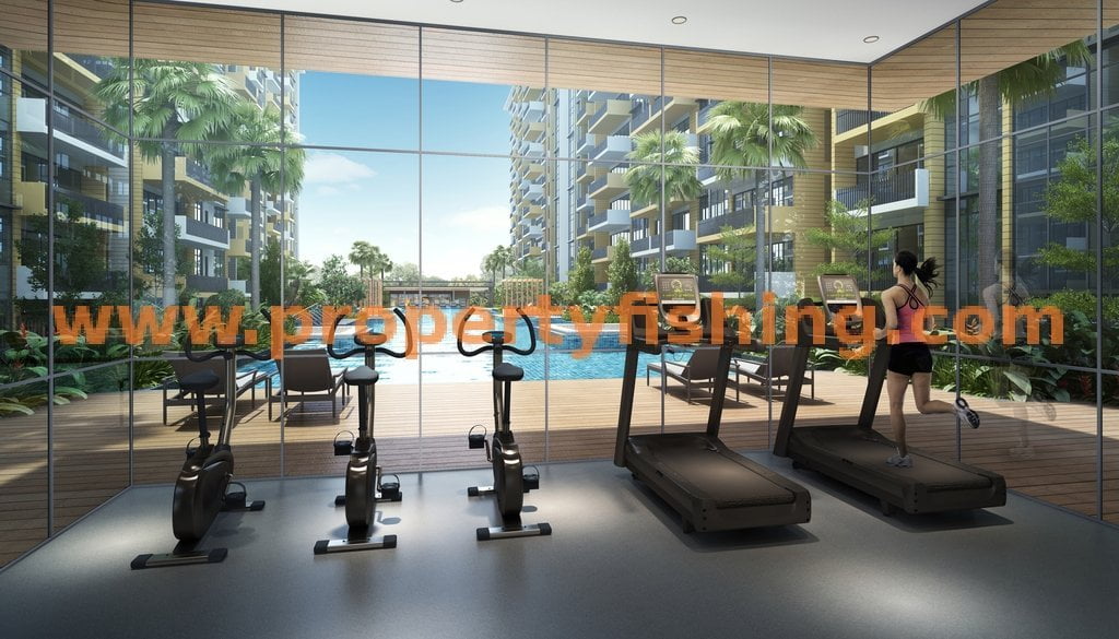 The Vales EC Gym