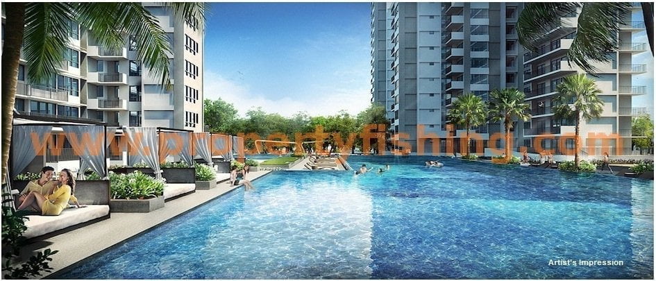 Vue 8 Lap Pool